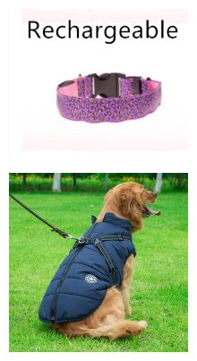 LED Dog Collar Safety Adjustable Nylon Leopard Pet Collar - puphub