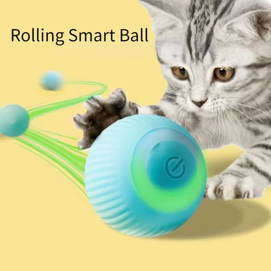 Interactive Ball Cat, Dog Indoor Automatic Rolling Magic Ball Toy. Self-moving! - puphub